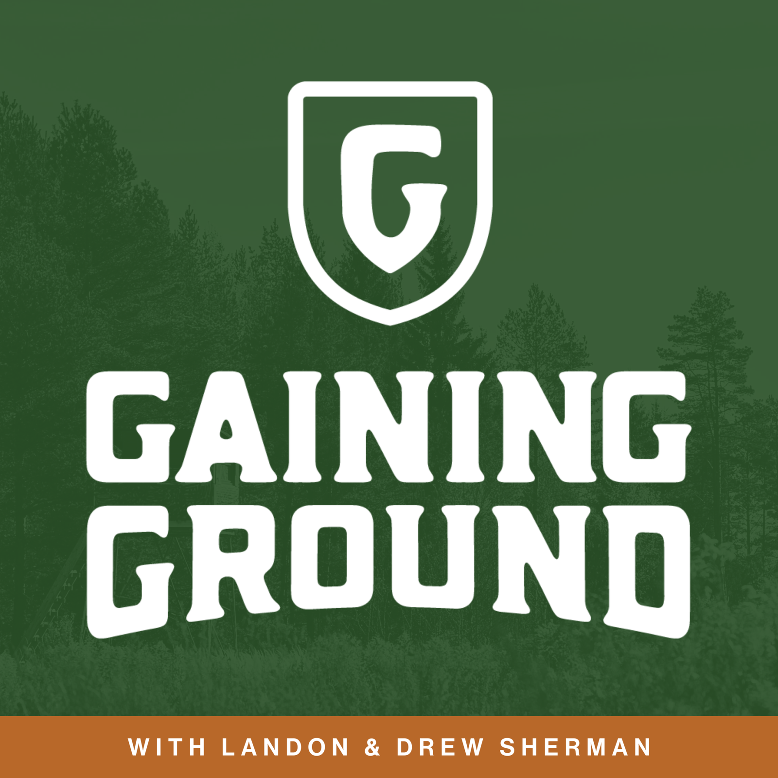 your paragraph text (6)